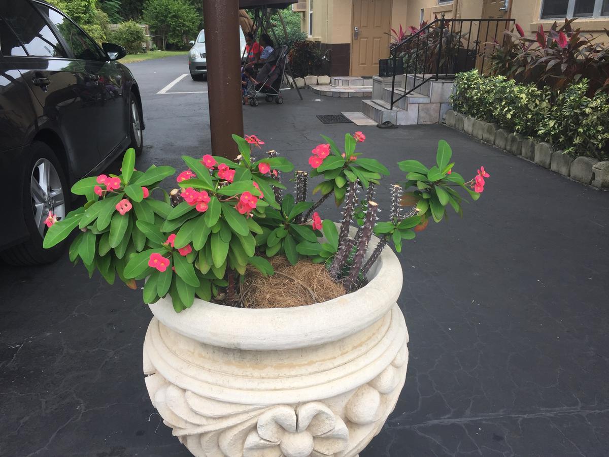 Fort Myers Inn מראה חיצוני תמונה